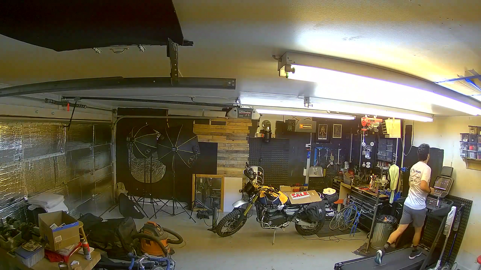 Ring Indoor Cam Plus still image taken in the light