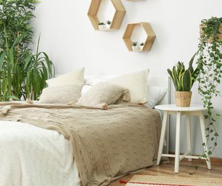 relaxed bedroom surrounded by houseplants