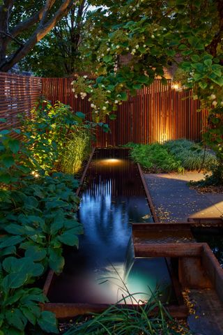 A relaxing backyard with pools of light