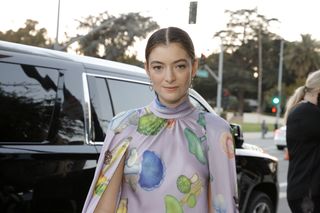 Lorde in a multicolored dress