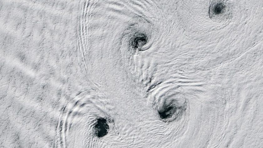 A white, snowy artic landscape has large swirling patterns with small holes or gaps at their center with what appears to be dark water underneath. 
