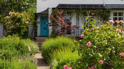 Herbaceous border leading up to end of terrace house