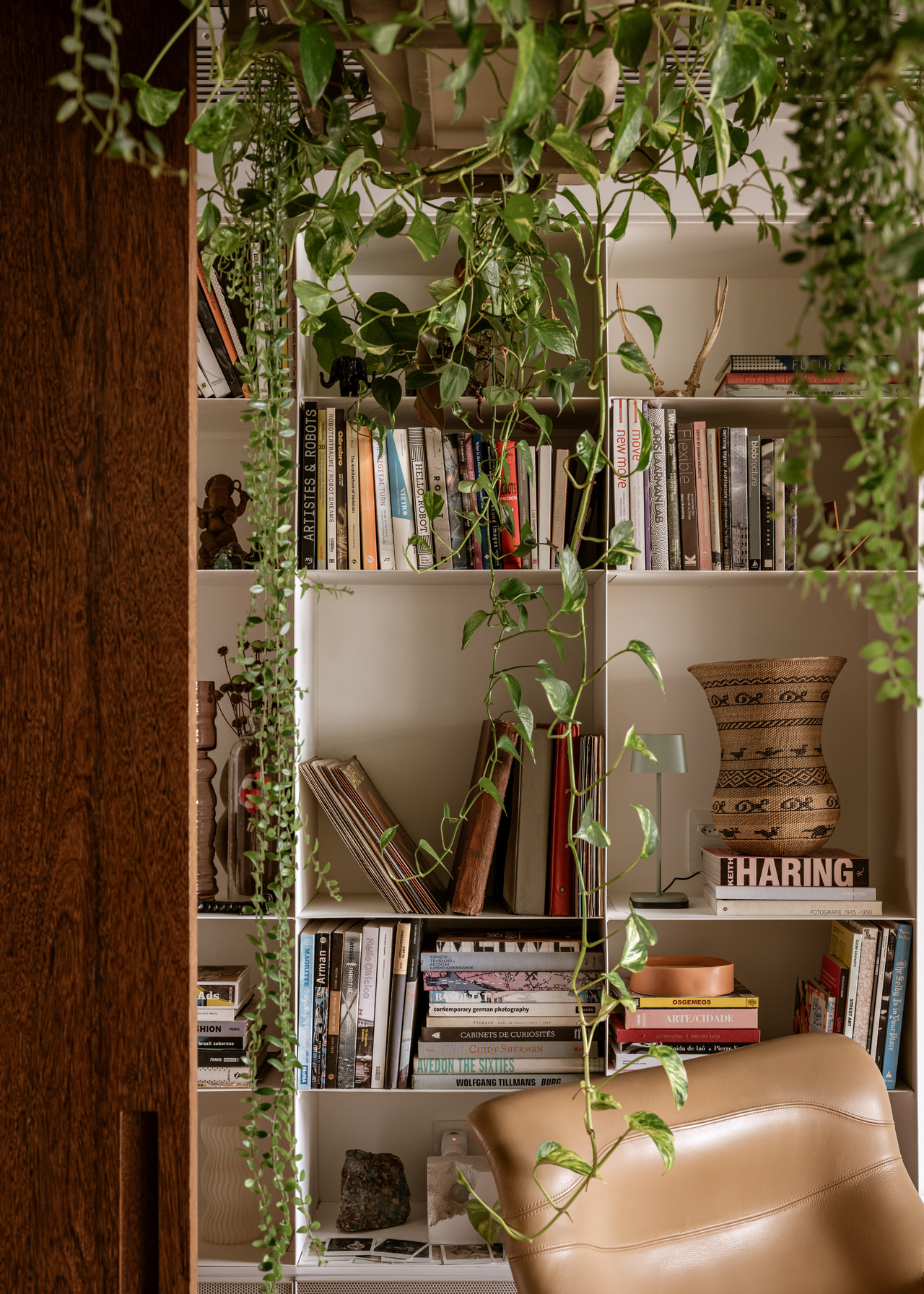 A living room with trailing vines in front of a library