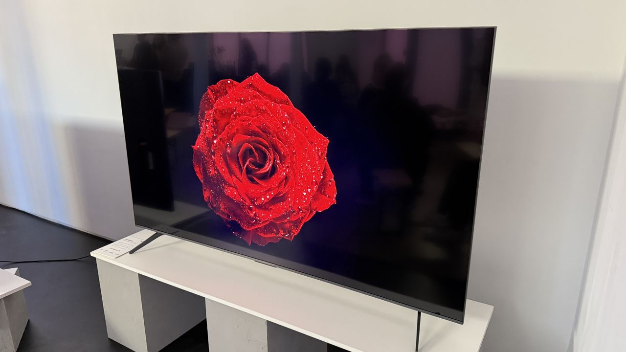 TCL C6K showing a red flower with reflections