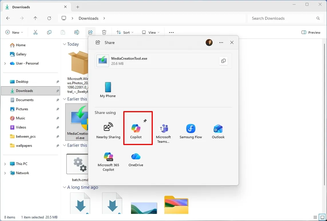 Панель закрепления приложений в меню Windows Share