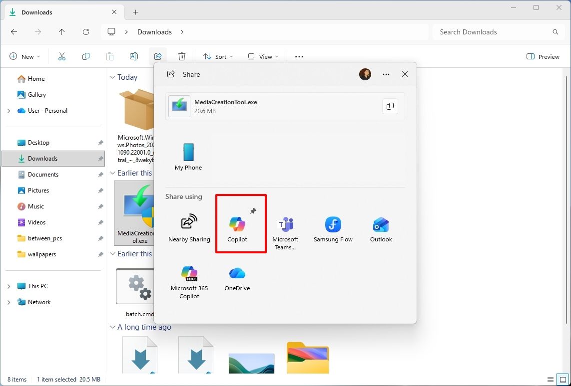 File Explorer with Windows Share showing the pin option.