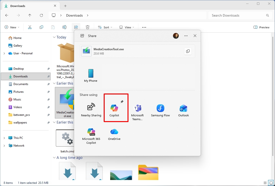 File Explorer with Windows Share showing the pin option.