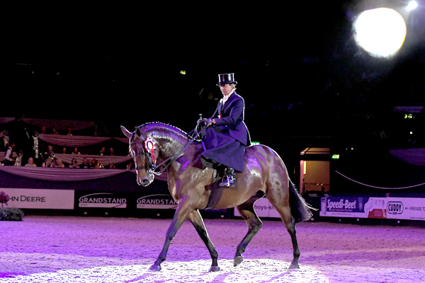 2018: Time 2 Reflect ridden by Jayne Ross