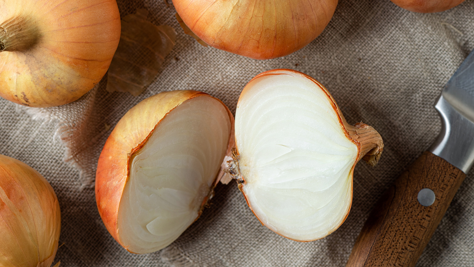 White onion sliced in half
