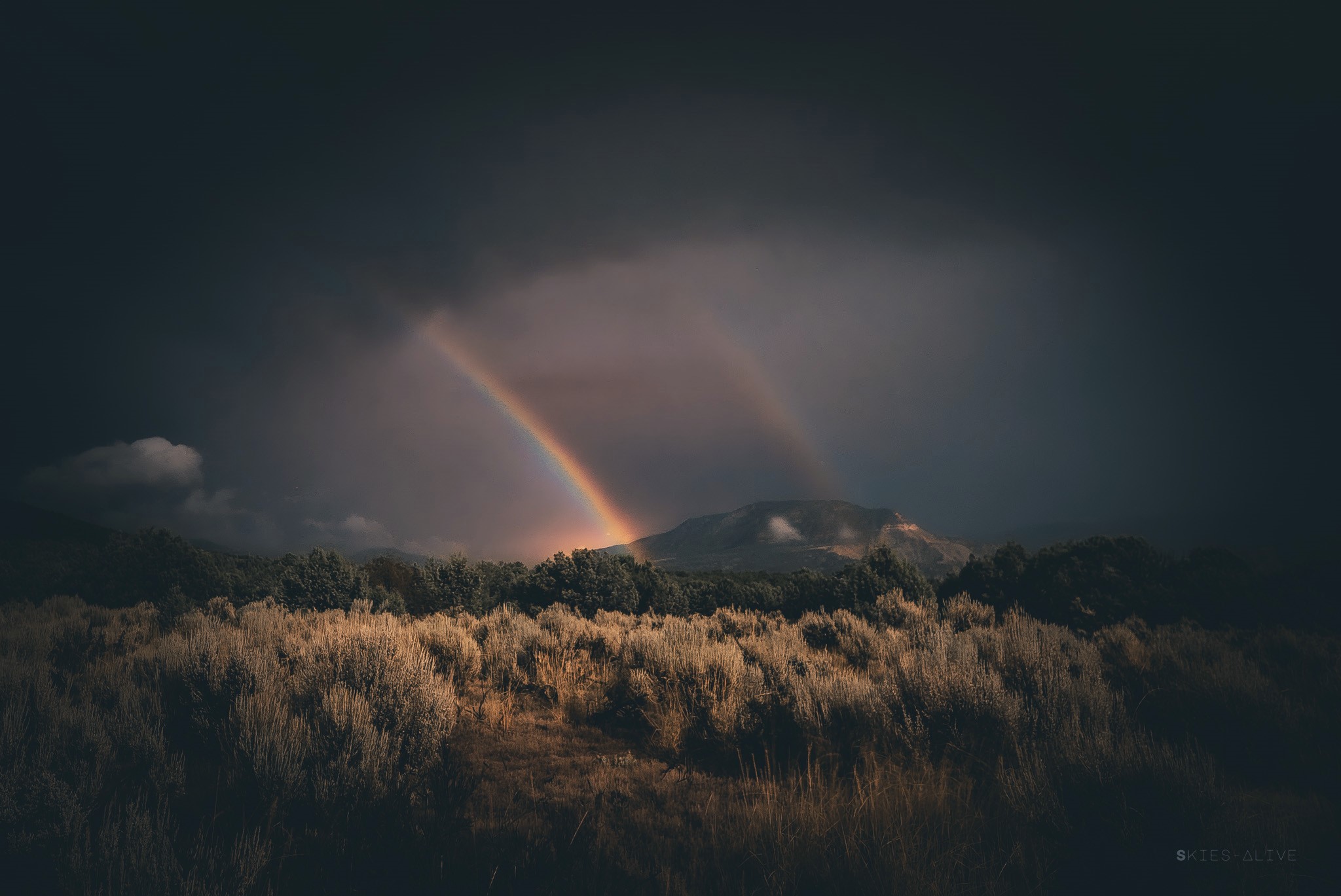 Photographer captures uncommon double ‘moonbow’ forward of Supermoon Blue Moon. ‘It used to be a ravishing sight to behold!’