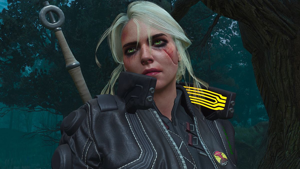 The Best Witcher 3 mods PC Gamer