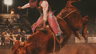 "Not Her First Rodeo" follows the Elite Lady Bull Riders in competition