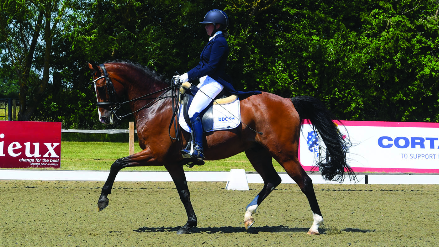 Lisa Marriott riding Valucio.