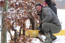 NY_Peter-Weis-ice-harvest.jpg