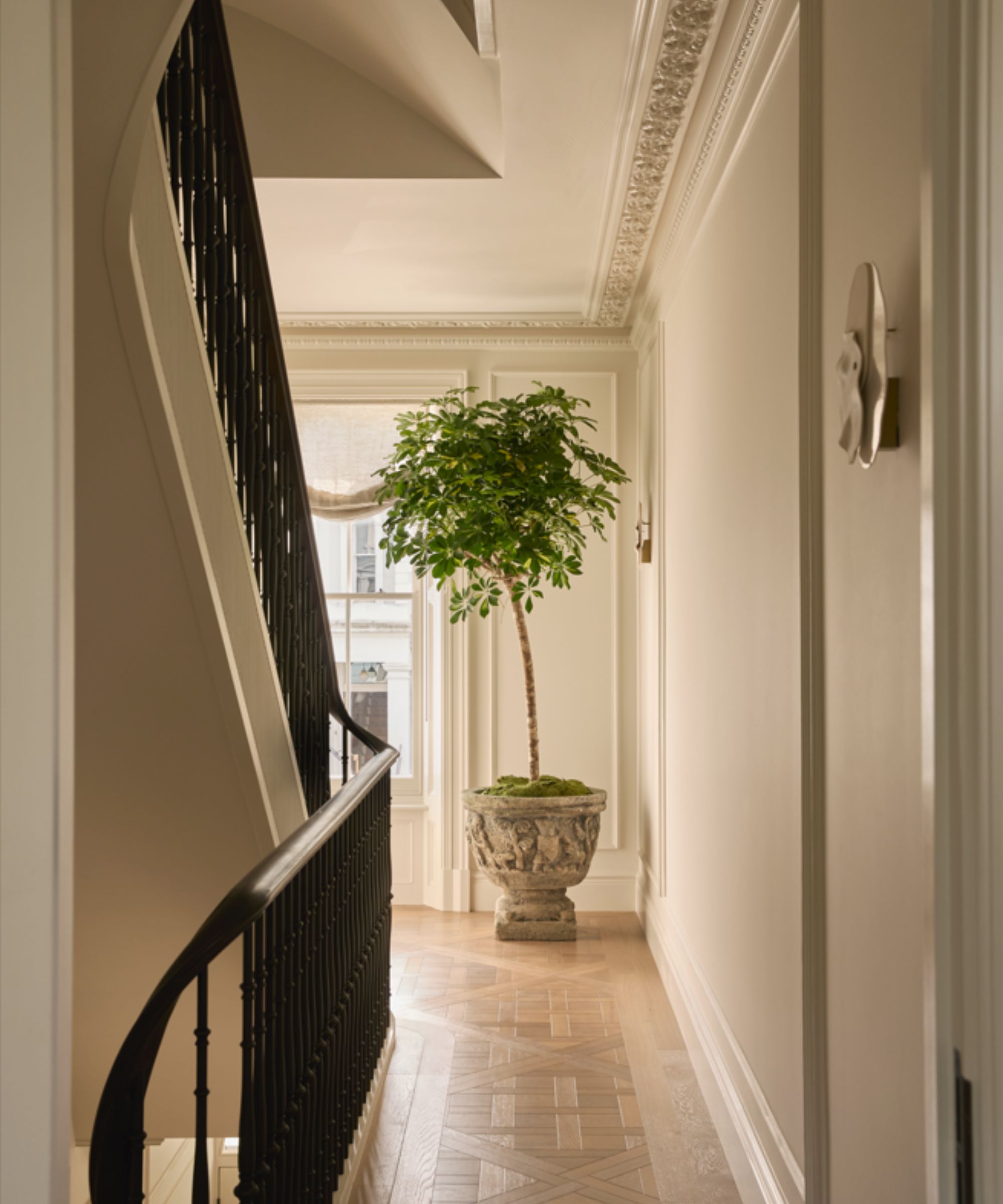 Neutral landing area with large tree in stone planter at the end of the shot, staircase with black handrail to the left of the image