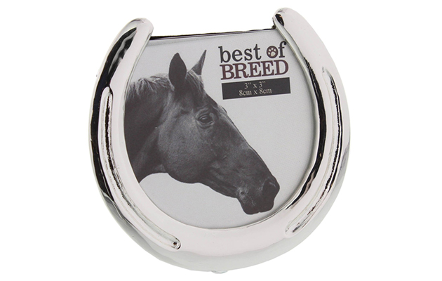 Horseshoe photoframe