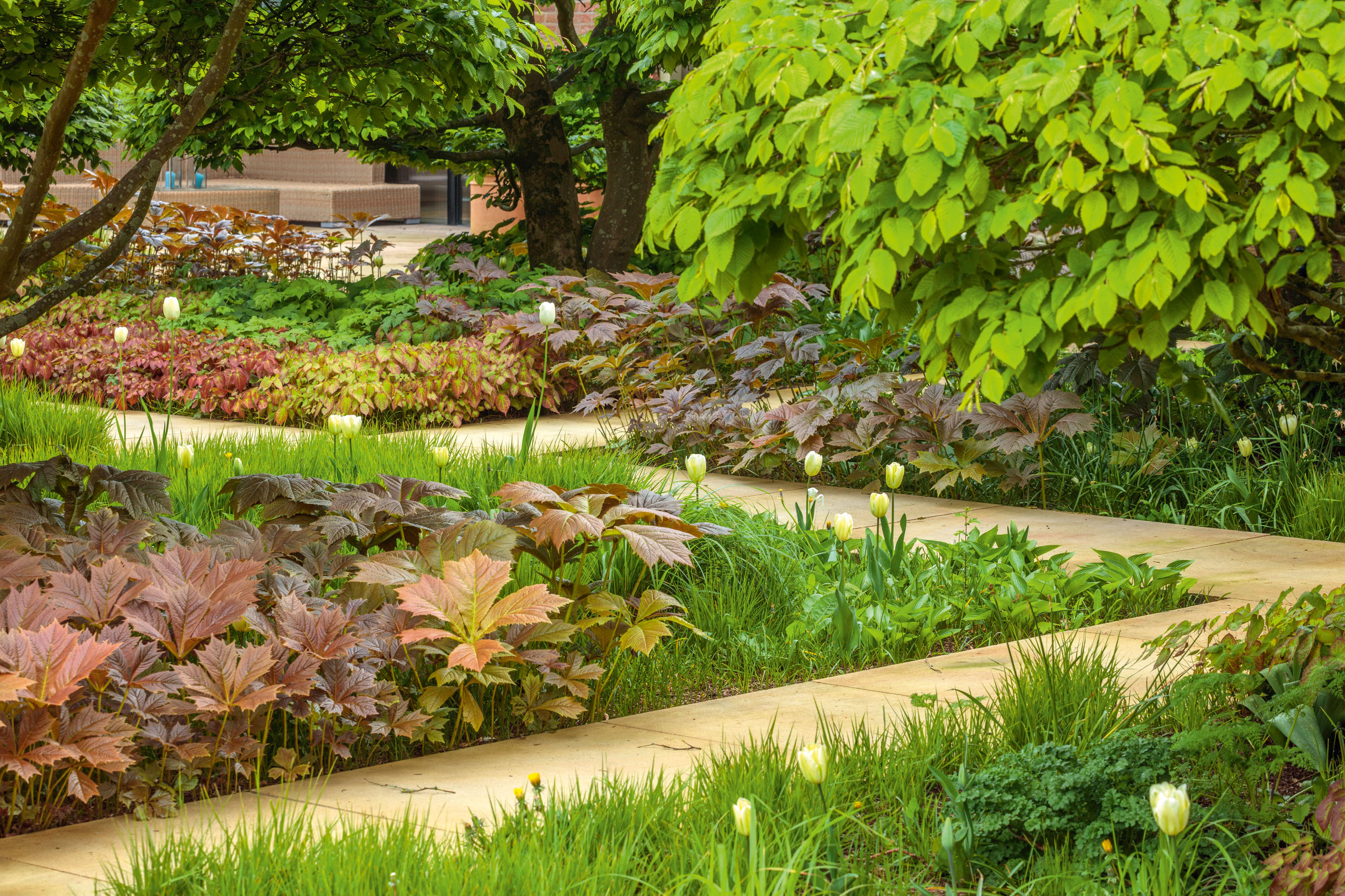 The garden at Cogshall Grange in Antrobus, Cheshire &amp;mdash;&amp;nbsp;the home of Julia Kirkham and Brendan Flood.