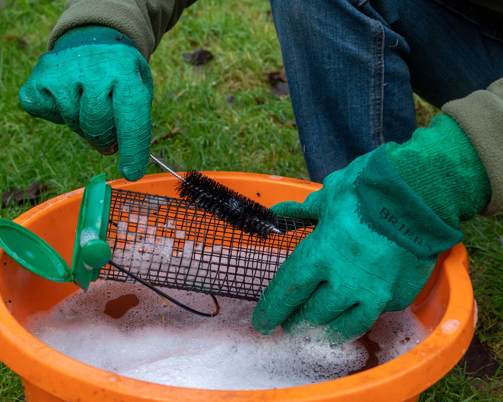 Cleaning a bird feeder with soapy water and a brush