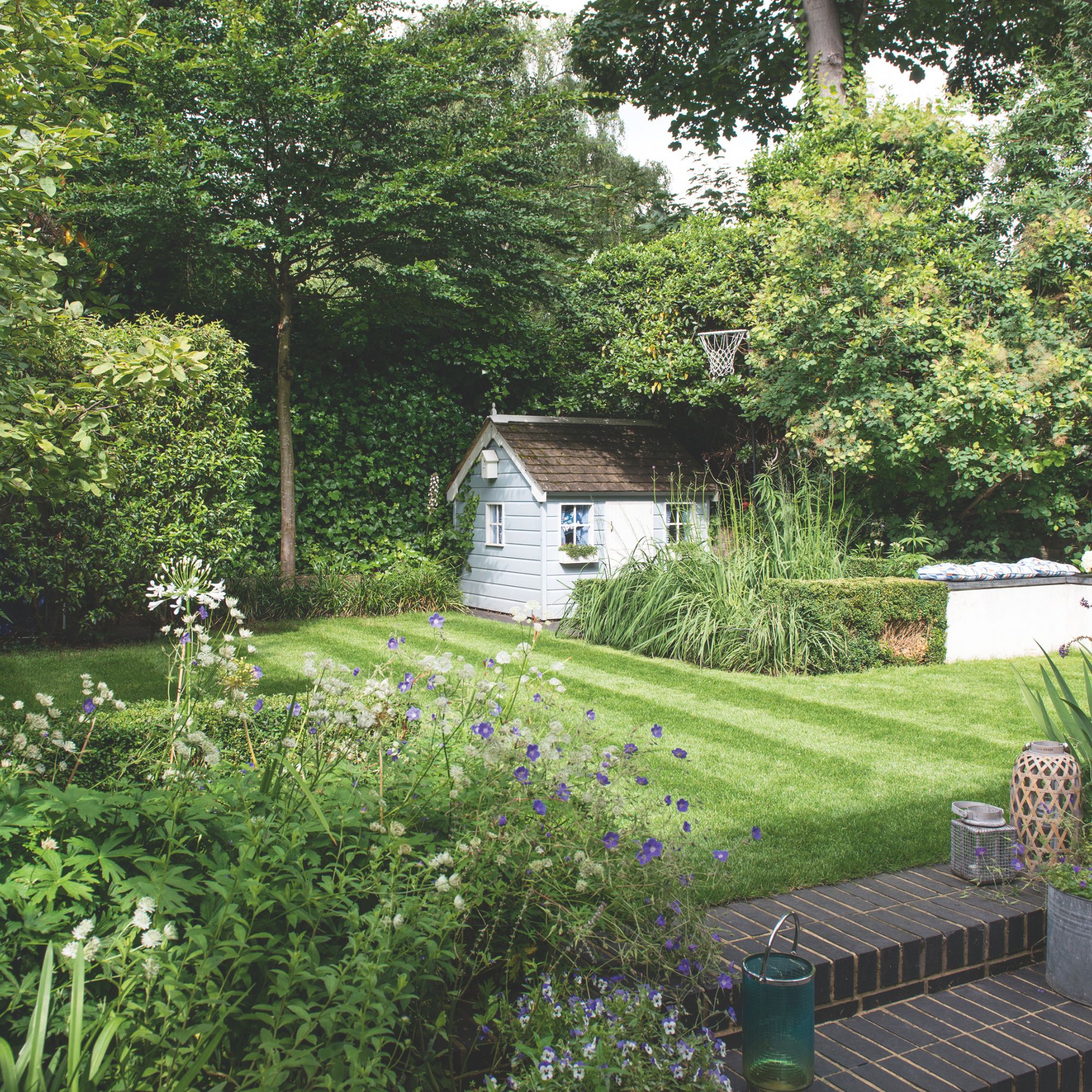 Hedges and lawn with stripes in garden