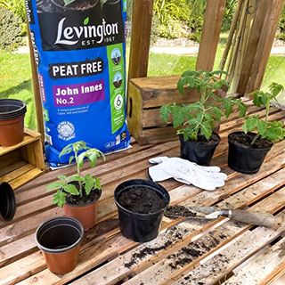 Levington Peat Free John Innes No.2, 25 Litres - Perfect for Repotting Young Plants, Vegetables, Pots & Tubs