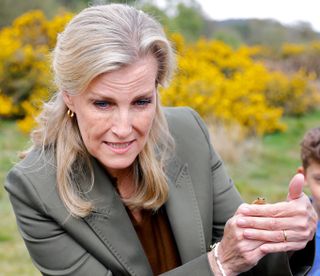 Sophie, Countess of Wessex holds a tiny frog as she helps schoolchildren