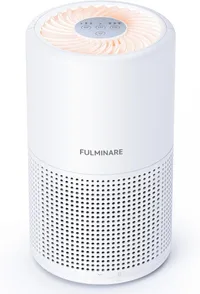 Fulminare air purifier