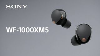 Sony WF-1000XM5 wireless earbuds in black colorway