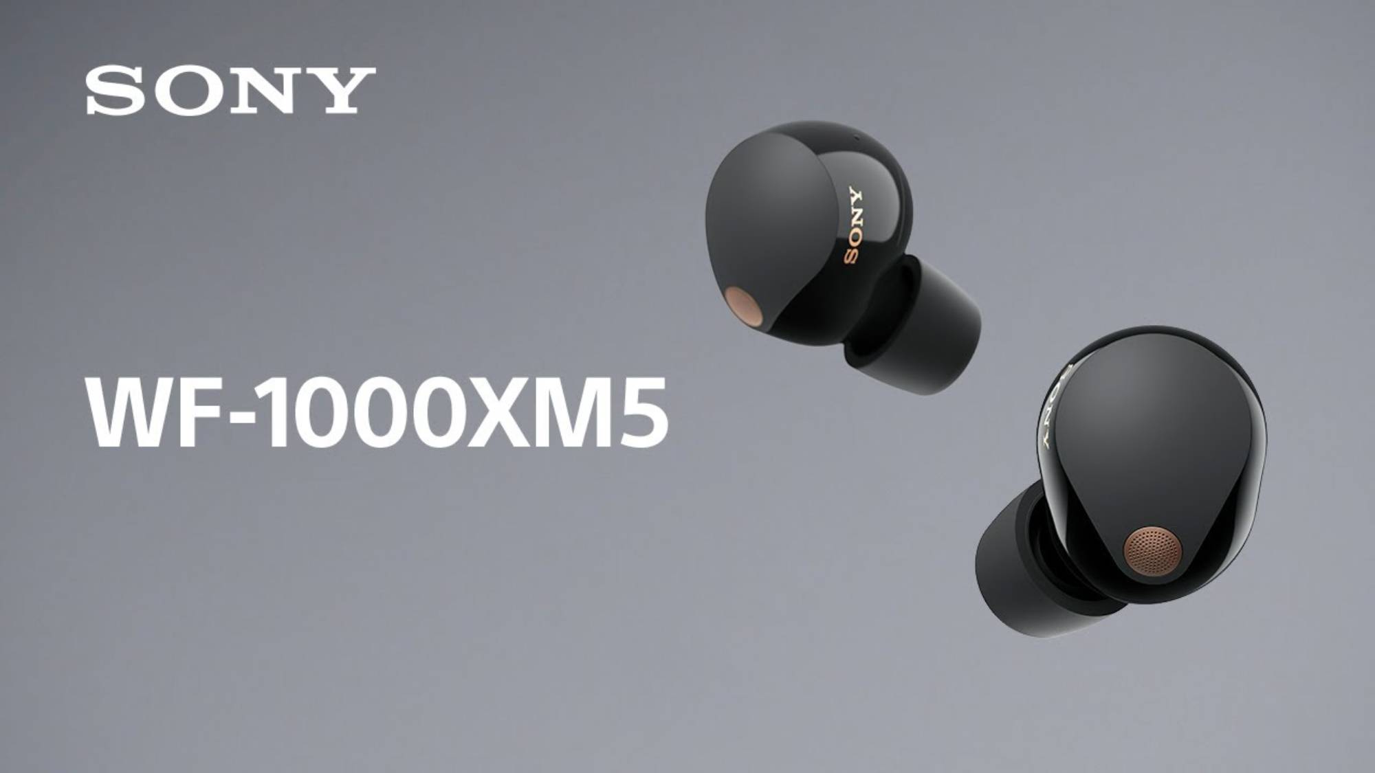Earbud nirkabel Sony WF-1000XM5 dalam jalur warna hitam