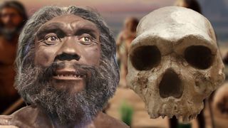 Homo heidelbergensis is an extinct prehistoric man. He used more advanced tools than Homo erectus, such as hand axes and spears, and probably fire.