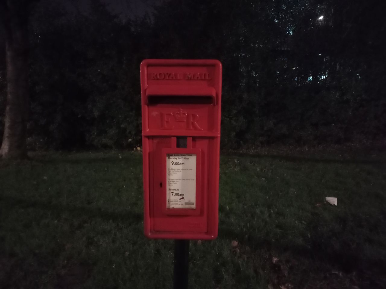Moto G31 camera sample