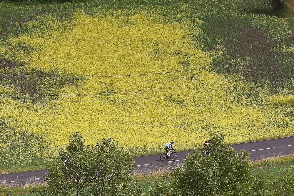 A lone rider against the French backdrop.