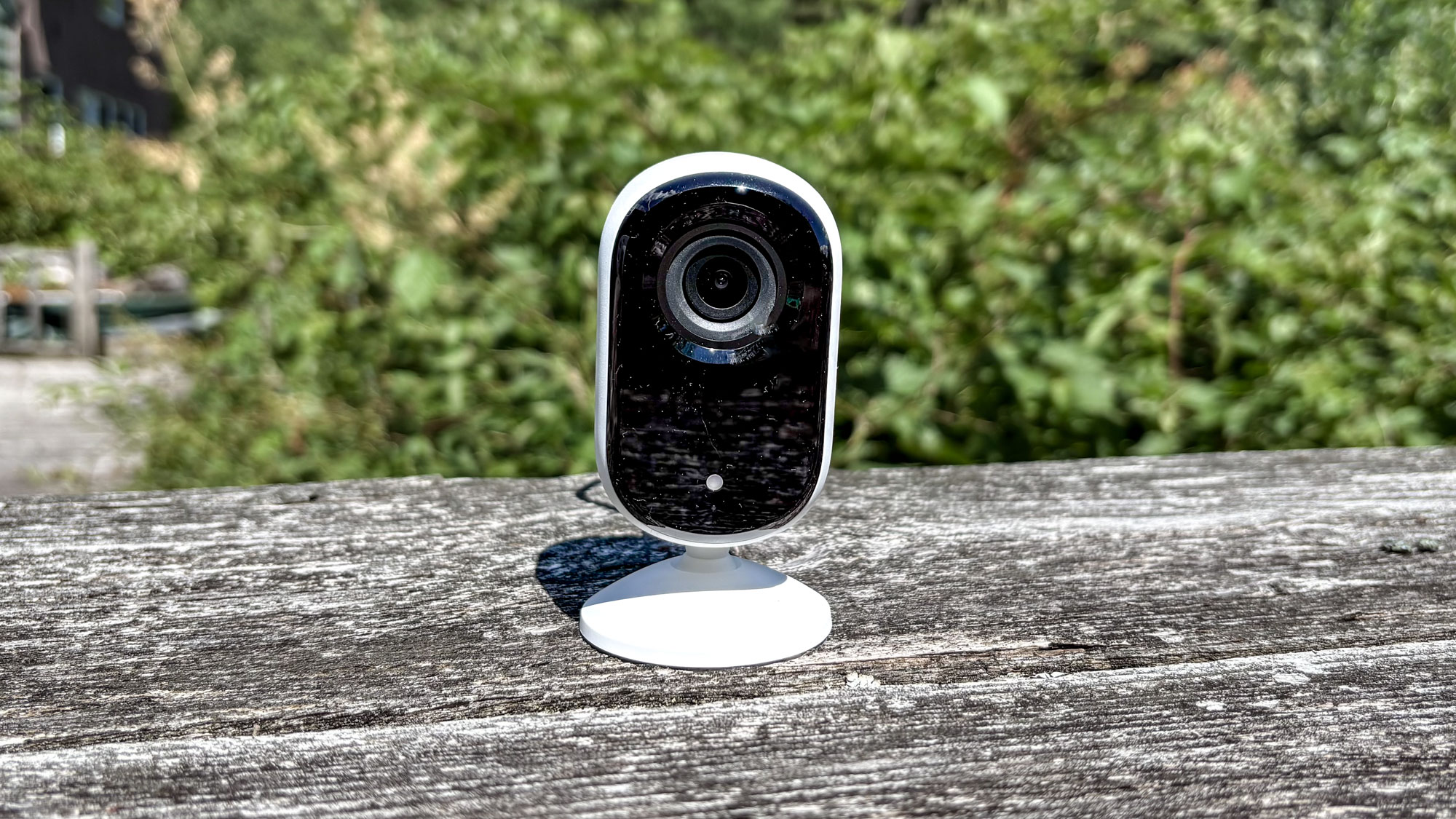 An Arlo home security camera outside on a bench in front of green bushes