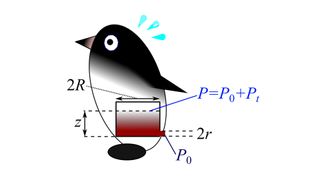 To estimate penguins' pooping prowess, researchers examined variables such as stomach pressure (P = P0+Pt), atmospheric pressure (P0 = 1013 hPa) and rectal pressure (Pt).