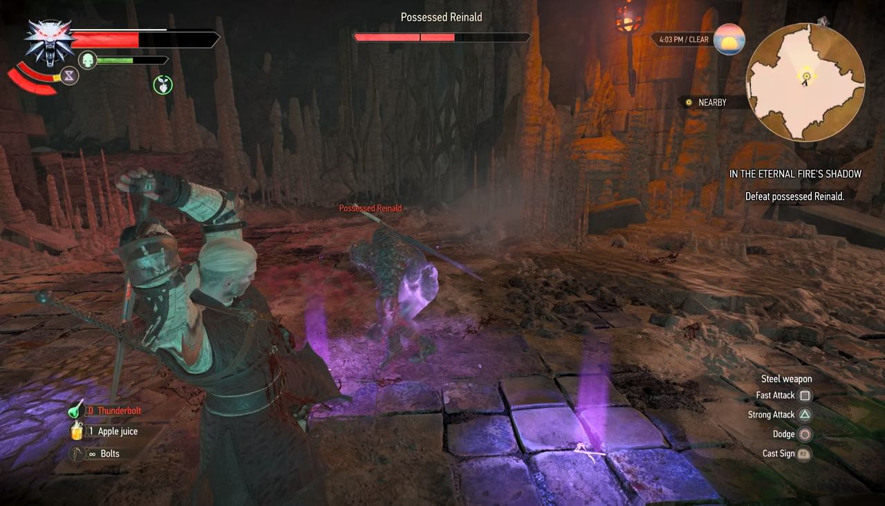 The witcher 3 reinald fight