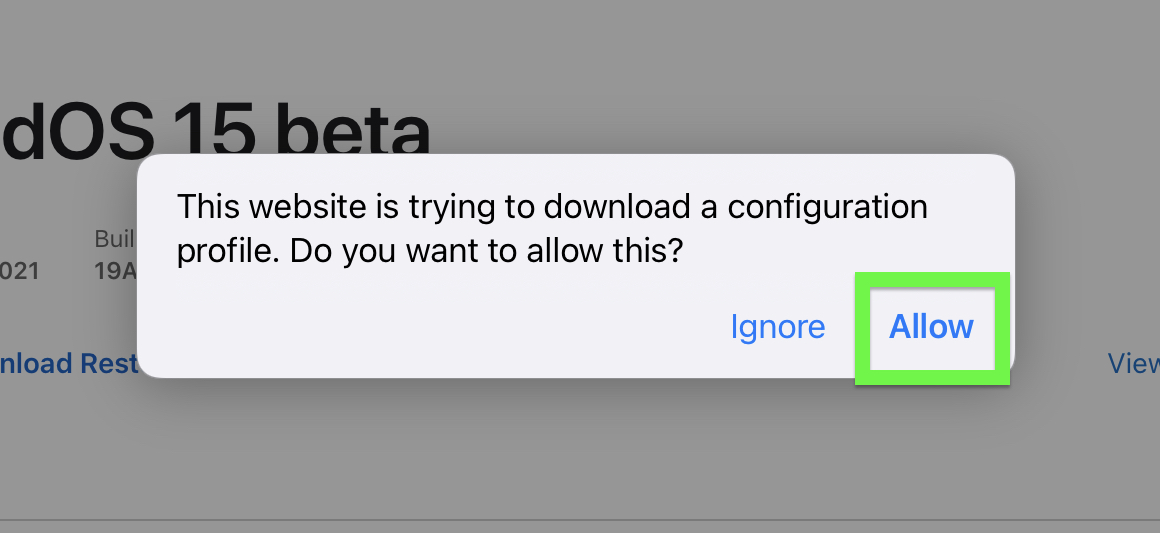 iPadOS 15 beta developer step 6 — allow