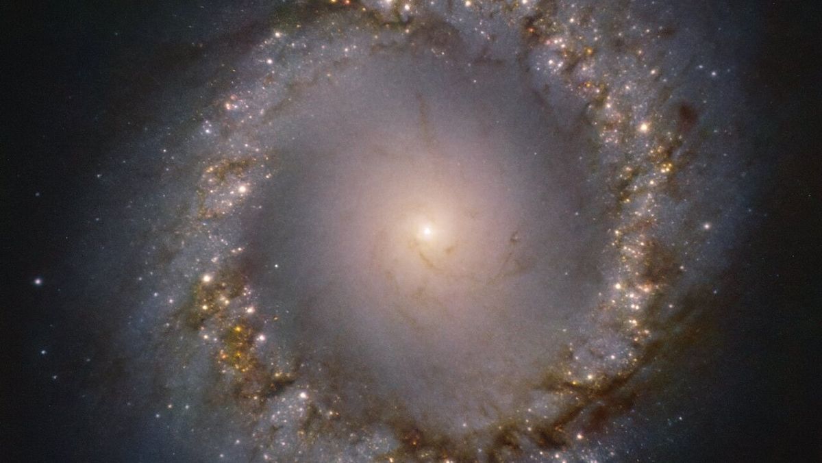 Peer into the exposed heart of a galaxy in mesmerizing new image