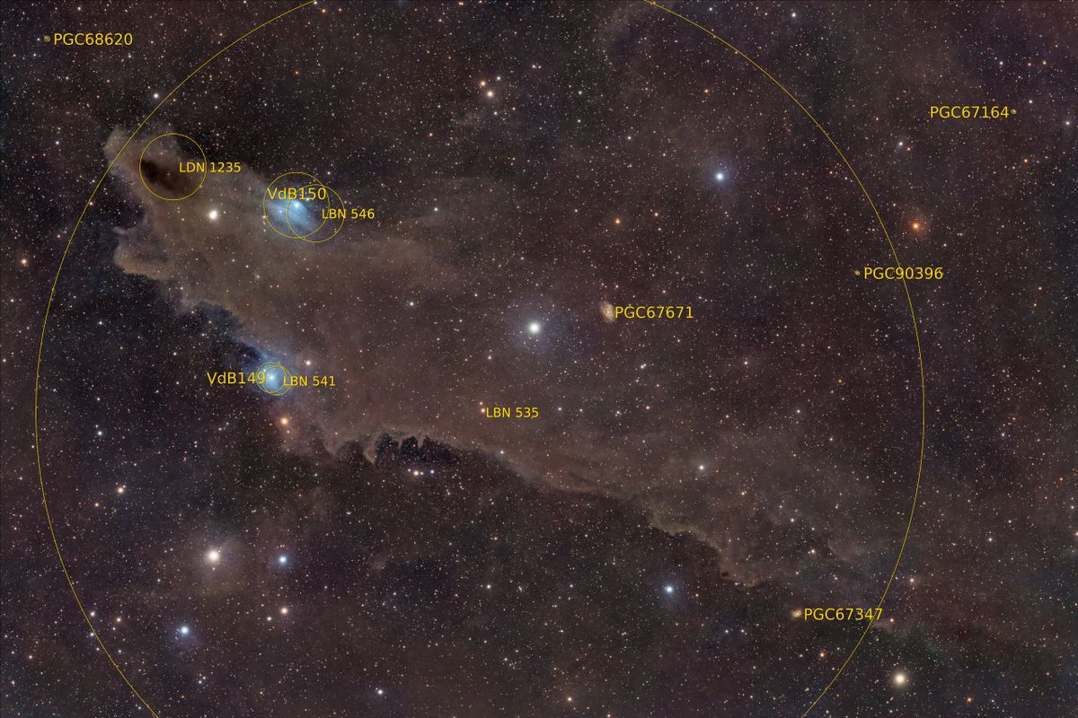 A cosmic shark shaped nebula in deep space.