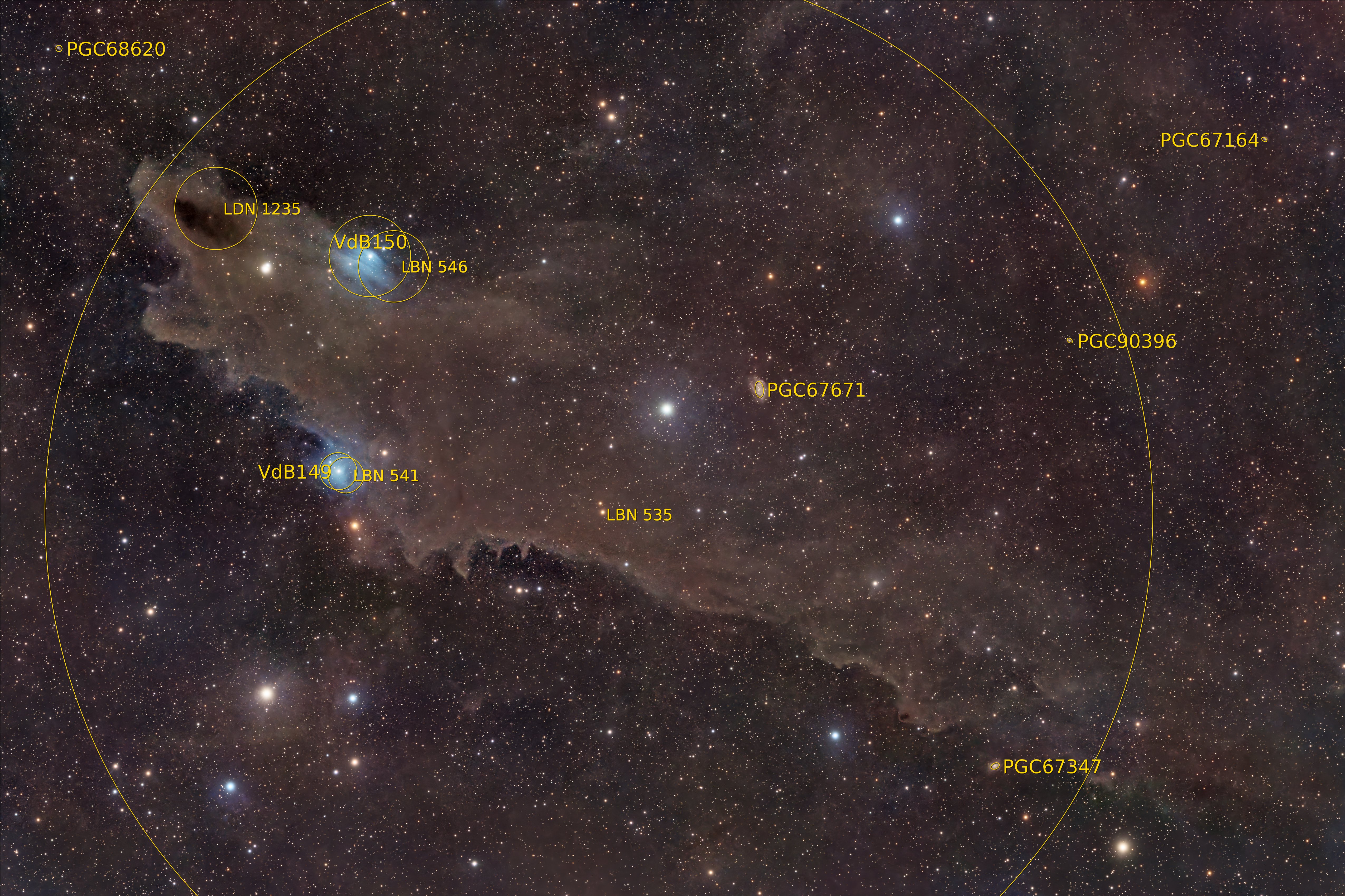 A huge cloud of dark brown gas is pictured hanging against a colourful starfield. The left section of the cloud takes the form of a gaping shark&#039;s may as seen from the side, with a bright star forming its eye, while the remainder forms the body to the right of the image with a suggestion of dorsal and pectoral fins. The image is labelled with circles showing the designations and approximate locations of the deep sky objects that form the cosmic shark.