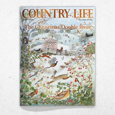 Cover of Country Life's Christmas Double issue 2025 December 10, 2025 