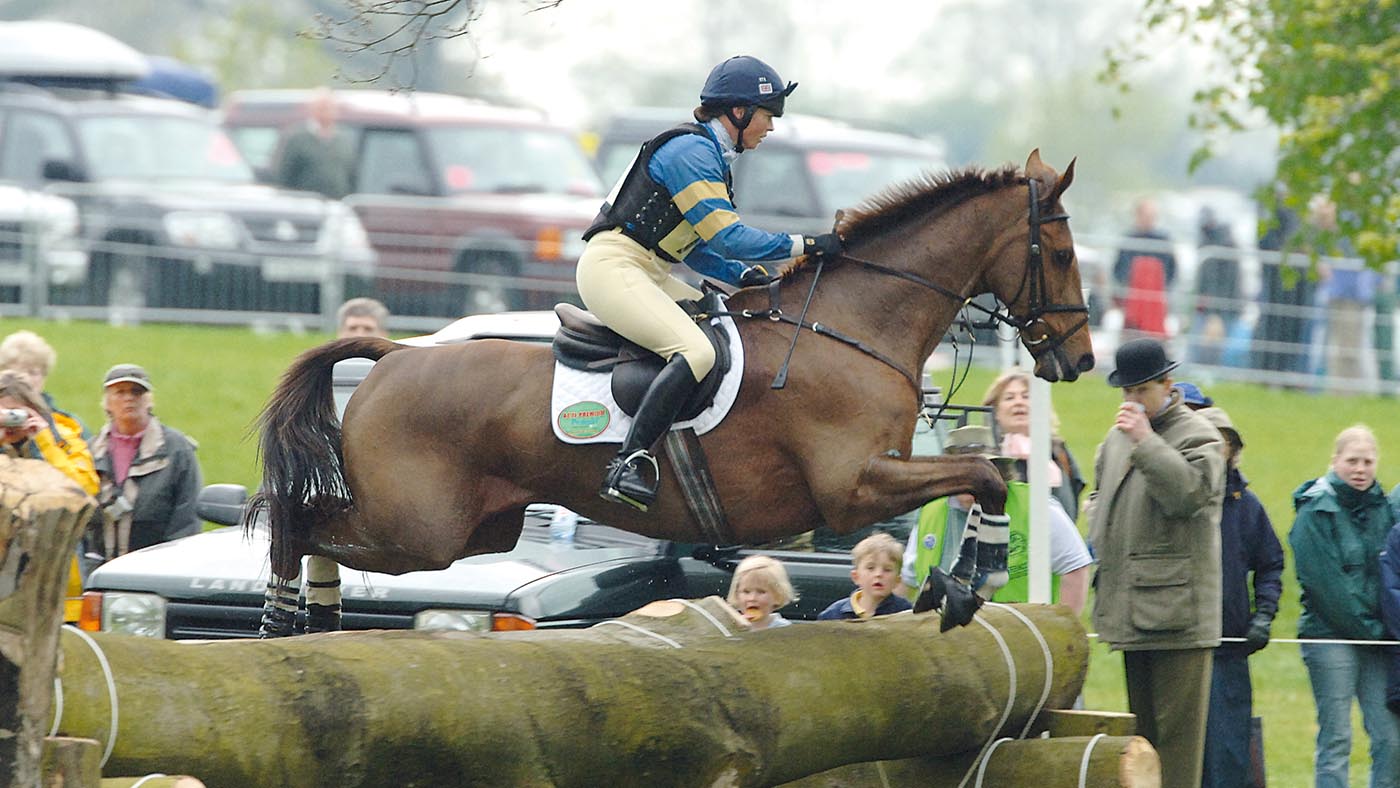 Pony Care Bible General Views