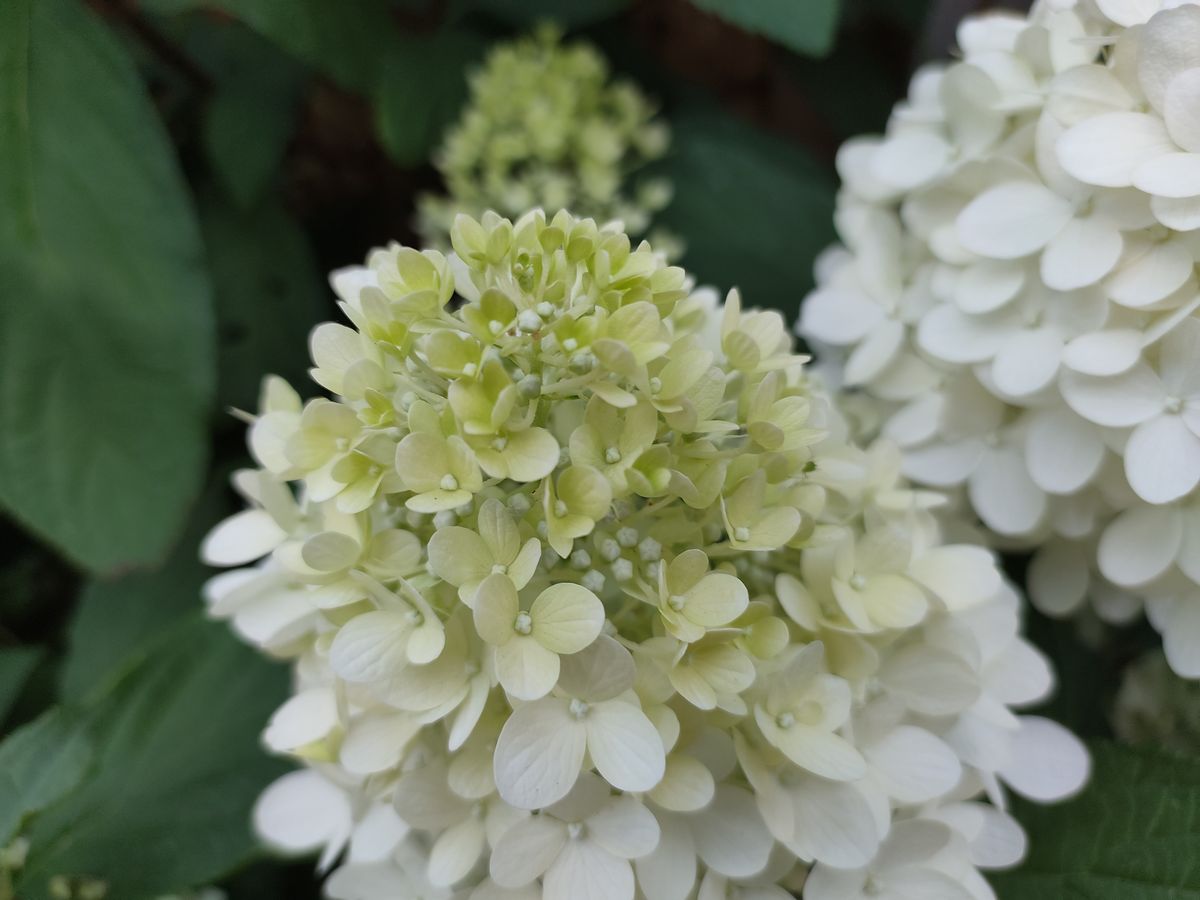 Photos taken on the Nubia Red Magic 7s Pro
