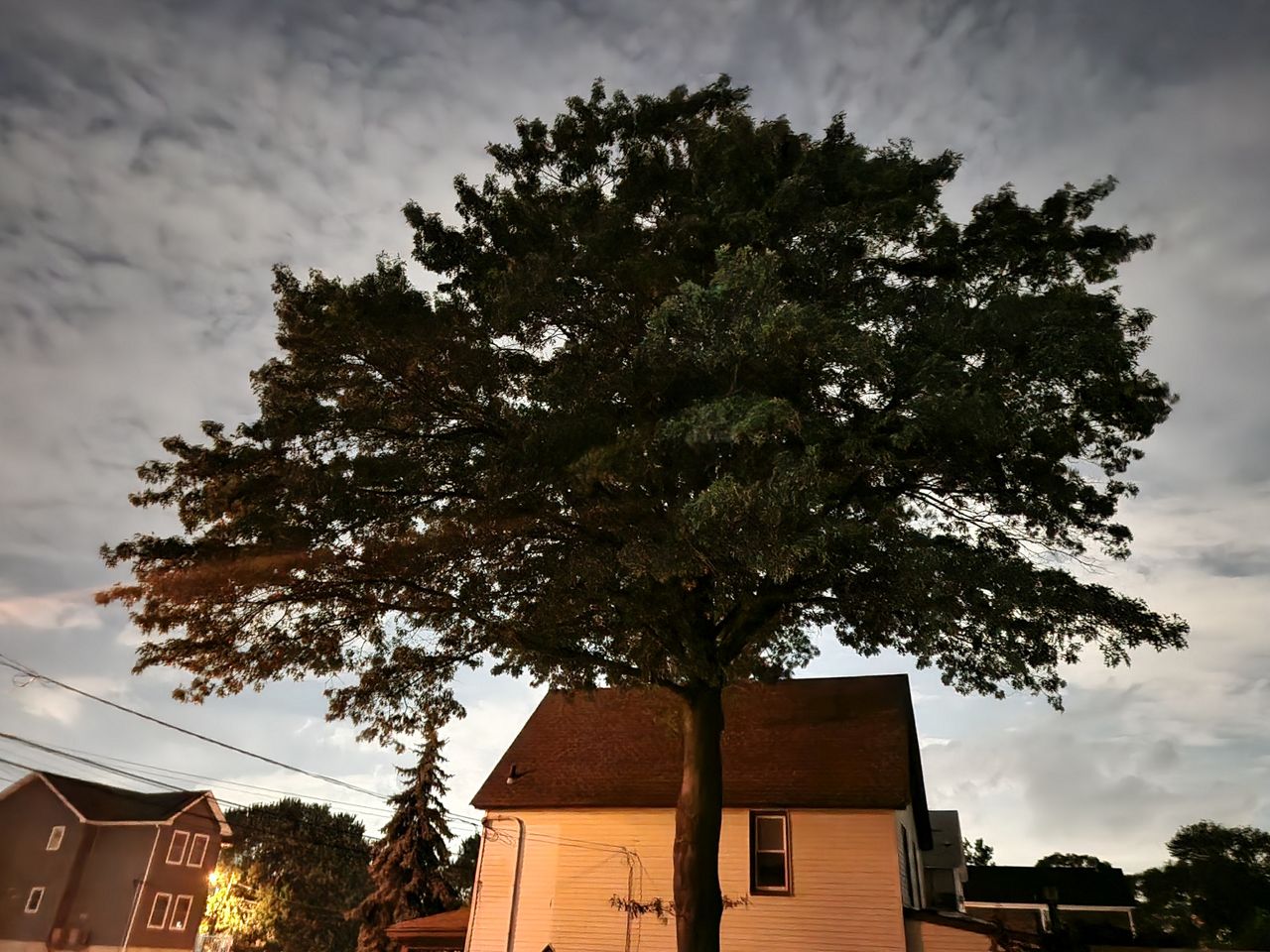 Samsung Galaxy Z Fold 4 low light sample.