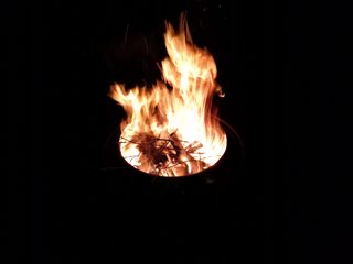 Moto G Pure Camera Samples