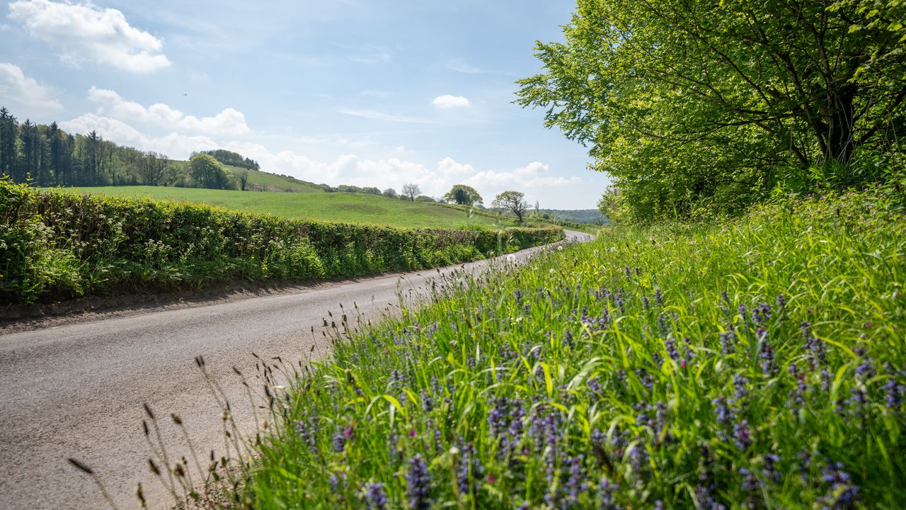 Road in the countryside