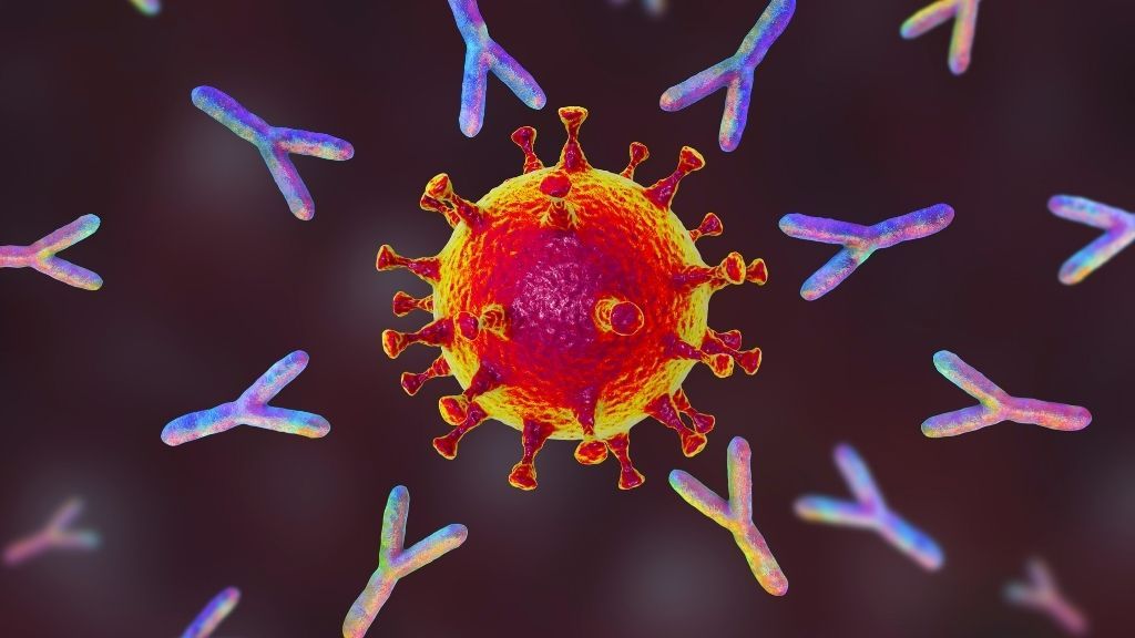 illustration of antibodies zooming towards a coronavirus particle