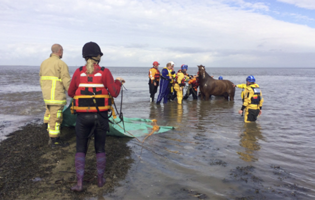 beach rescue