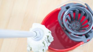 picture of mop and bucket with water in it