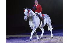 Version-3-HorseNo1207_HOYS_PN17_105134_234494911_256006371.jpg