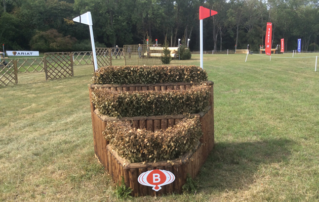 Blenheim Fences 2018