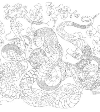 James Jean Lunar New Year art; a sketch of a snake